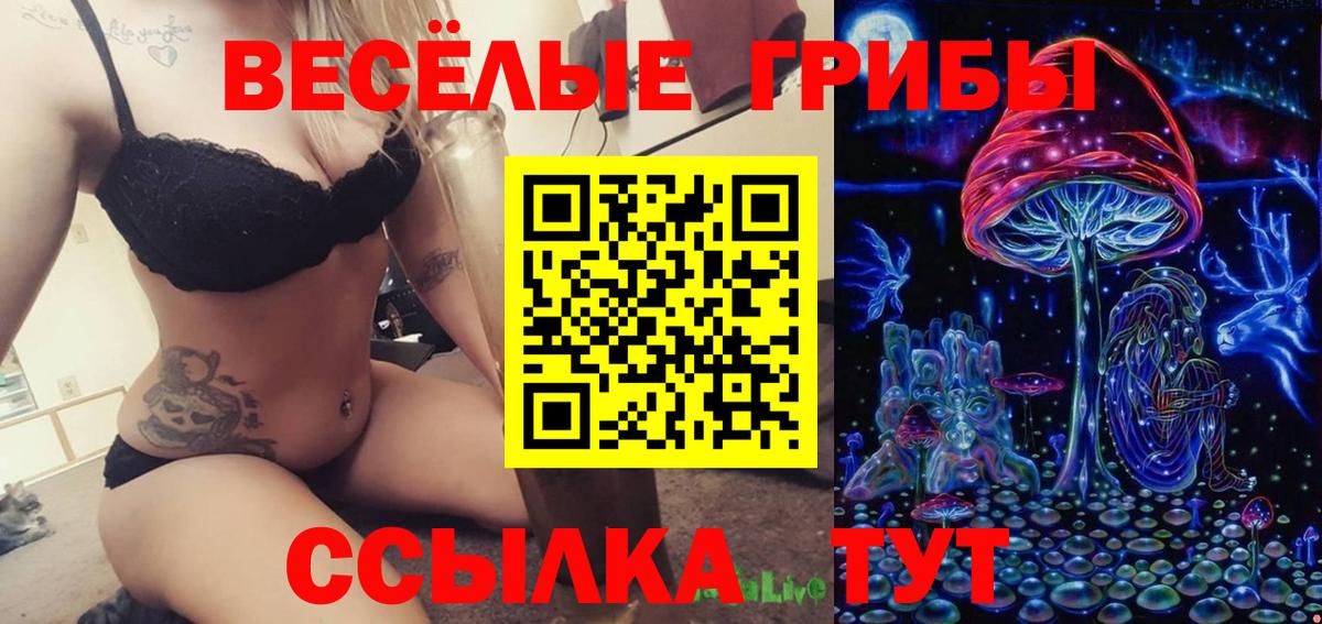 Псилоцибиновые грибы мицелий  Нижний Новгород  Псилоцибиновые грибы Magic Shrooms 