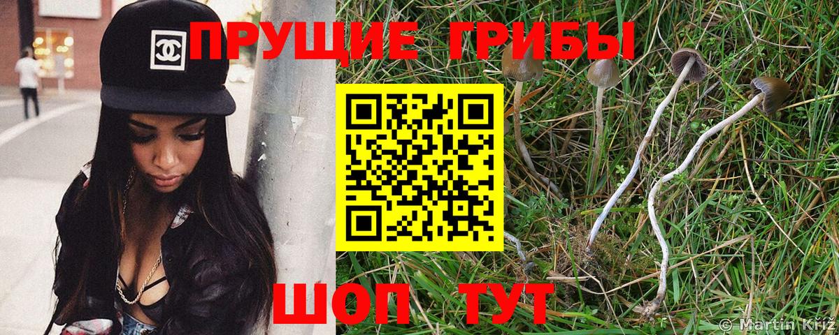 Псилоцибиновые грибы Magic Shrooms Нижний Новгород