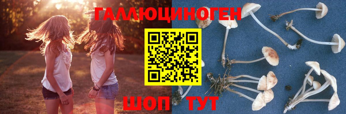 Псилоцибиновые грибы мухоморы  Вход с VPN  Галлюциногенные грибы MAGIC MUSHROOMS  Нижний Новгород 