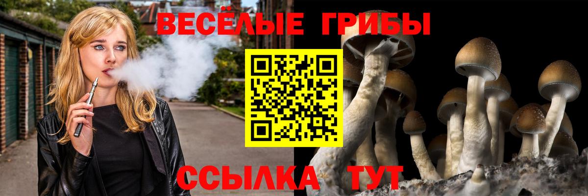 Галлюциногенные грибы ЛСД Нижний Новгород